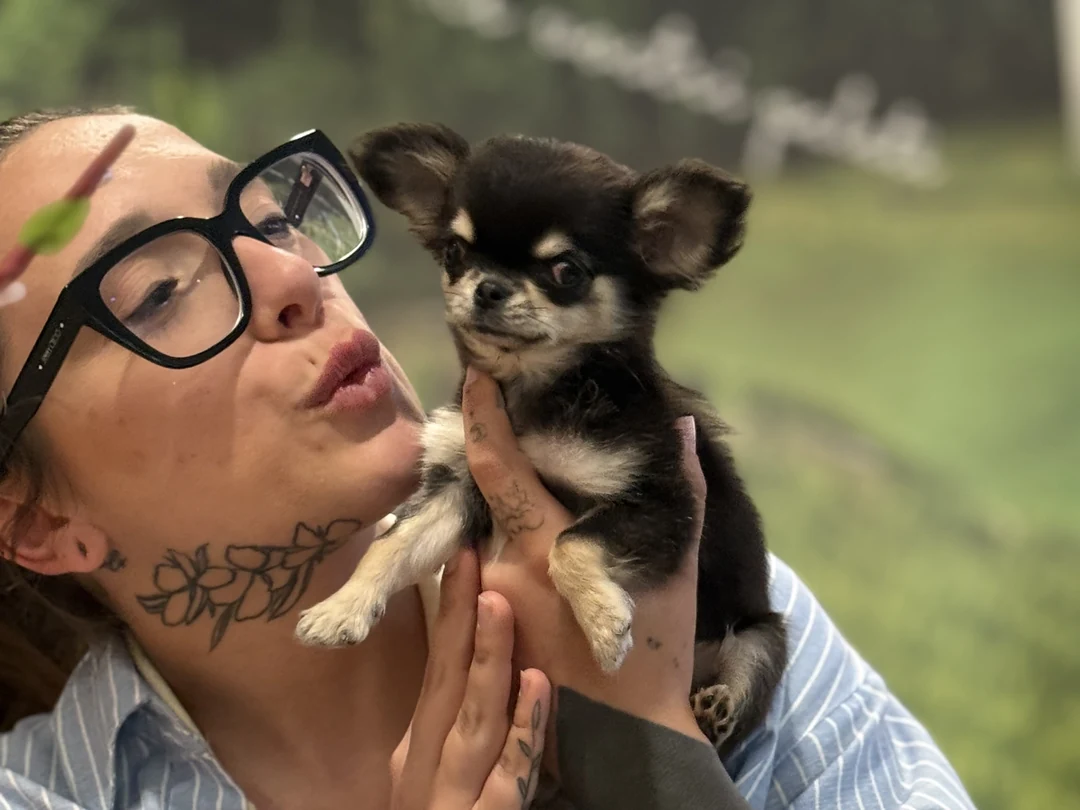 Una persona bacia affettuosamente un cucciolo di Chihuahua tenuto tra le mani