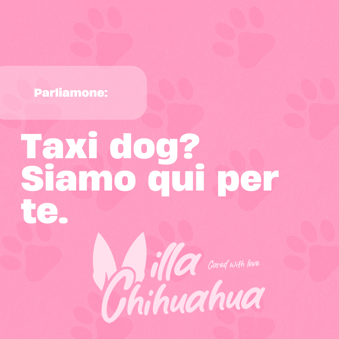 trasporto animale domestico in italia ed europa