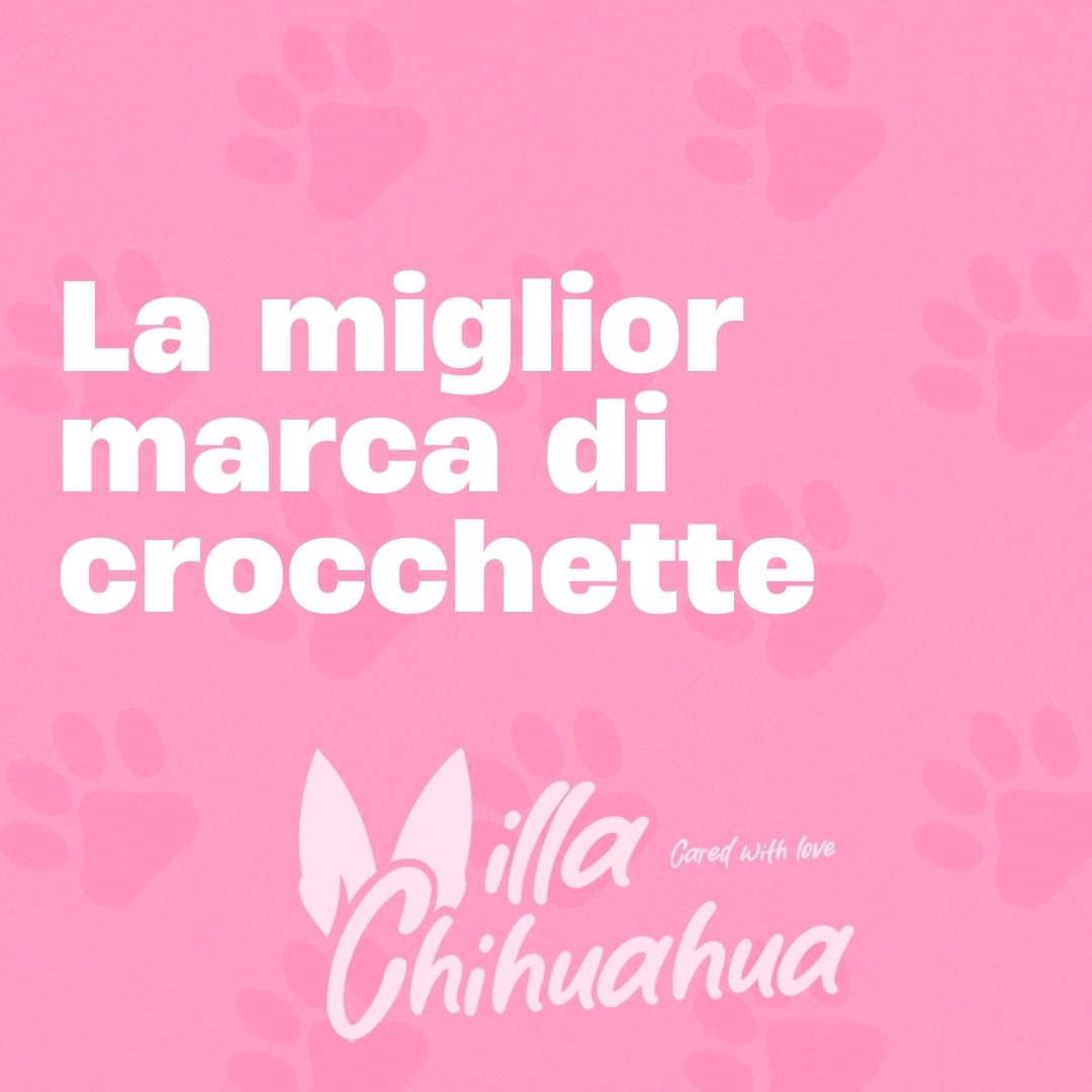 La miglior marca di crocchette per cani e chihuahua