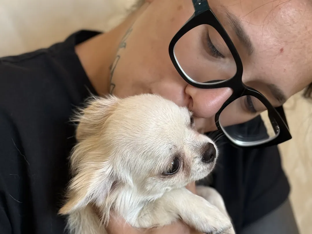 Marta bacia Delfi, un Chihuahua a pelo lungo color crema tenuto in braccio